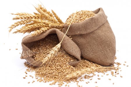 Разрешительная документация на зерно