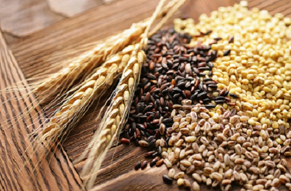 Переоформление декларации зерновой продукции